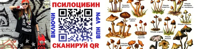 Галлюциногенные грибы Cubensis  Хадыженск 